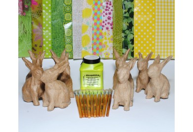 Rabbit Party Kit for 10 Children